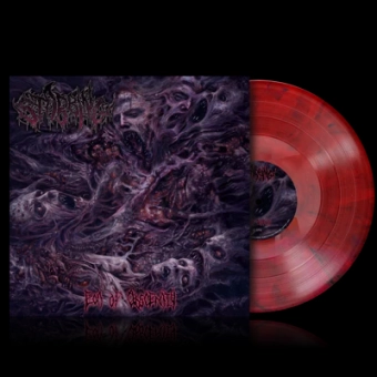 STABBING Eon of Obscenity (red-black marbled LP) [VINYL 12"]